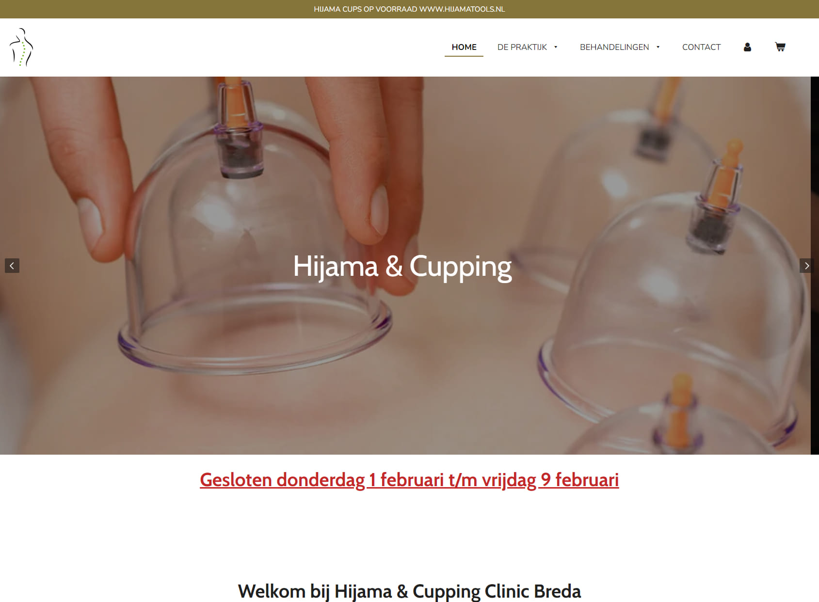 Hijama & Cupping BredaI Massages| Bloedzuigertherapie|