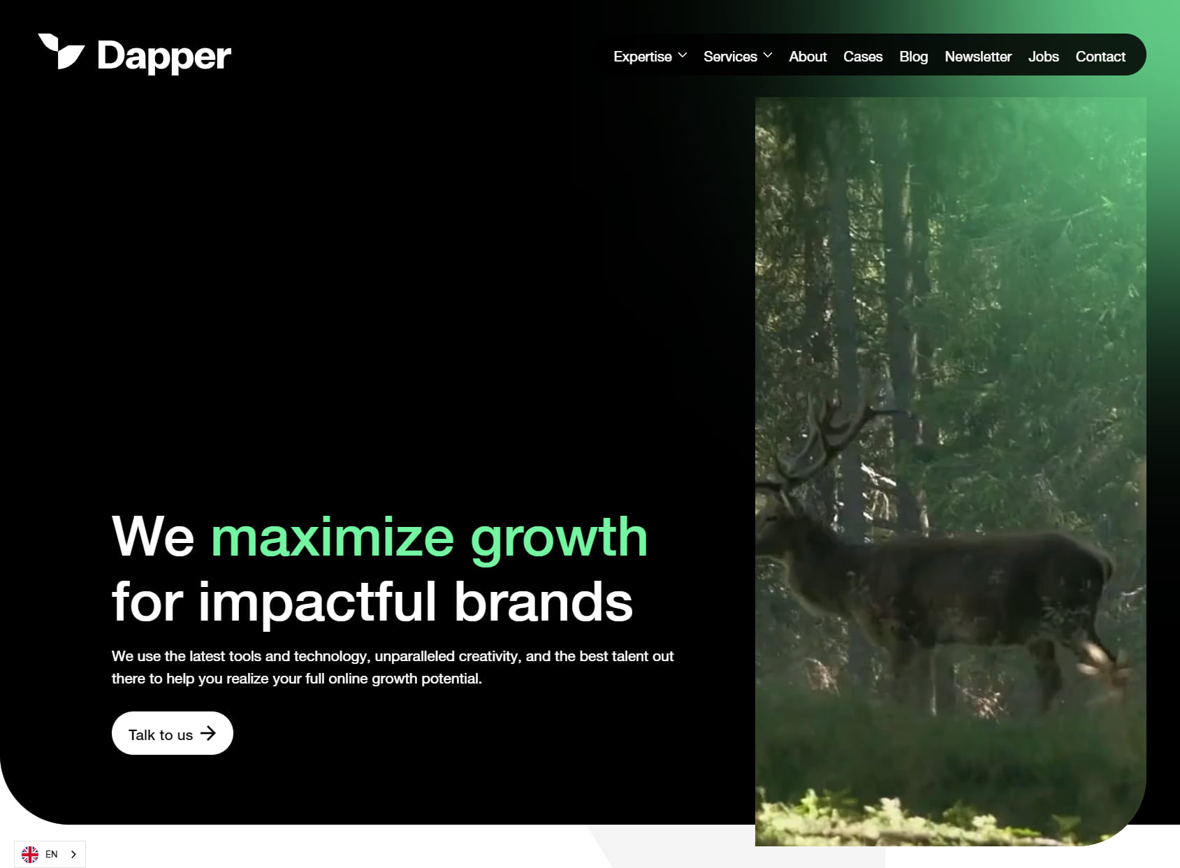Dapper | Growth Hacking Agency