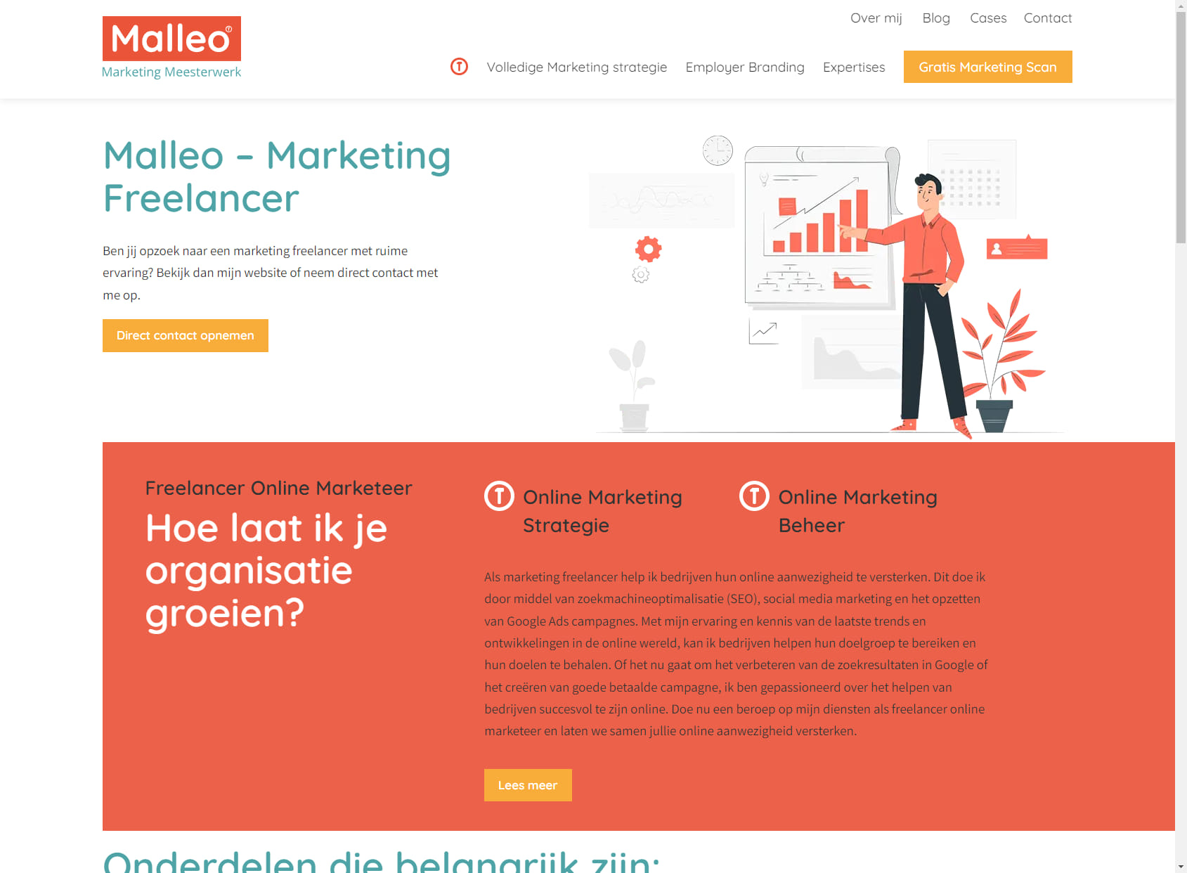 Malleo - Online Marketing